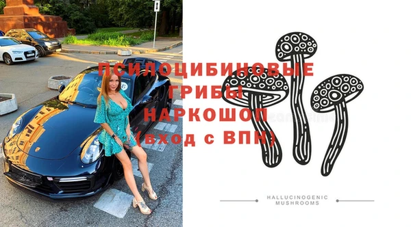 эйфоретик Балахна